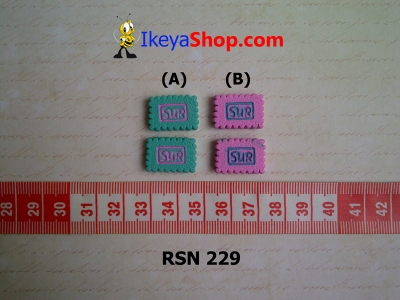 rsn 229  large2